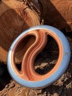 Hand Forged Yin Yang Inspired Chakram Steel   Copper Display Throwing Ring