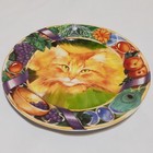 Collectible Cat Plate Vivid Color Decorative 8in Fruit Flower Ribbon Accents