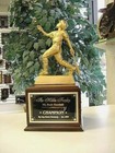 Fantasy Baseball Trophy Champion 16 Year Perpetual Trophy Heavy Resin Batter  