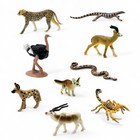 Sahara Desert Animals Toob Safari Ltd 9 Small Figures Display Model 