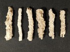 Big Lot Of Six  Larger Hollow Tubular Fulgurite S Or Petrified Lighting 20 9gr