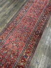 Stunning Antique Bijar Runner Rug Hand Knotted 16   1 X 3   4 Vegetable Dyes C 1900