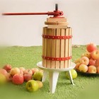 Press Fruit Wine Iron Vintage Original Wood Juicer Grape Wooden Apple Cider Beer