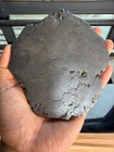 371 7grams Campo Del Cielo Meteorite Slice