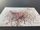  one  Albert J Pucci Cardinals Christmas Card Bushes Berries Birds Met Museum 1