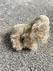 Webkinz American Cocker Spaniel Plush Dog Hm202 W  Unused Code Retired New Ganz