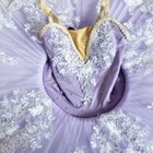 Professional Ballet Tutu Ballerina Dress Child Contemporary Ballet Costumes