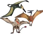  3pcs Pterodactyl Action Figures Realistic Flying Dinosaur Pteranodon Dino 