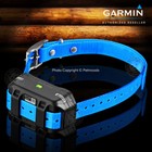 Garmin Pt10 Additional Dog Device Blue Collar Strap - Sport Pro  Pro 70  Pro 550