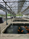 10l Pond Fish Feeder  Automatic Fish Feeder For Pond  Timer High Capacity  Batte