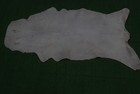 Goat Western Taxidermy Hide Rug Natural Pattern Fur Goat Hide Rode Sa-696