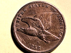 Beautiful  1858 Flying Eagle Cent  Small Letters  Very Fine To Extra Fine Cond