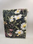 Nature On Camera   1960 Nature Photography Book   Hb dj Vintage Spring Books