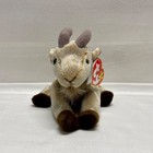 Vintage Ty Beanie Baby Goatee The Goat Retired 1998 Rare Errors See Tags Mint