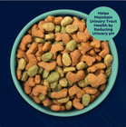 3 Bag 9lives Plus Urinary Tract Health Dry Cat Food  15 5 Lb  Bag