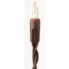Darice Fall Diy Decor - 50ct Soft Clear Bulb Light Strand Wire Brown