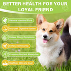 Dog Probiotic Powder Digestive Enzymes 12 Oz Powder Plus Prebiotics Probiotics E