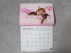 Vfw 2018 Calendar - 12 Month - Seasonal Cats   Dogs Theme