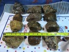 18 Lbs  4 Oz  Jasper   Solid Rough  Gem Stone  Crystals Agate  Mix Lot   r462