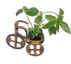 Ratten Wicker Bamboo Plan Holder Boho Style Bicycle Planter Brown  Unique Decor