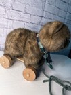 Paranormal Doll  haunted Hunies Noah  11yrs  Positive  Playful  Active