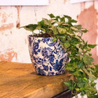 Monza 6  Vintage Planter - Blue