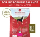 31 1lb Lb Purina One Lamb   Rice Formula Dry Dog Food