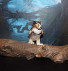 Ready Miniature Owl Powerful Legs Ooak 1 12 Realistic Dollhouse Handmade Igma