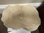 Large Natural Coral Specimen Bowl 12-14    Coastal Nautical Decor Centerpiece