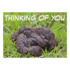  25-pack  Prank Postcards - Thinking Of You - Send Them To Victims Yourself