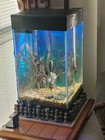 Aqueon Aquarium Starter Kit 15 Gallon Column See Description For Extras