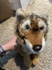 Webkinz Signature Endangered Red Wolf Plush No Code