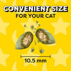 Temptations Classic Cat Treats - Crunchy And Soft  16 Oz  Tub  select Flavor 