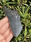 Natural Beautiful 3 77    Megalodon Tooth Fossil Shark Teeth