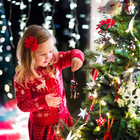 German Shepherd Christmas Ornament - German Shepherd Ornament For Christmas T   