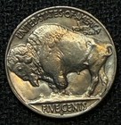 1931 San Francisco Mint Buffalo Nickel Near Gem Bu Original Blazer Split Tail