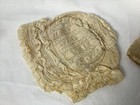 Antique Vintage Baby Bonnet Lot Of 3 - Lace  Crochet   Silk Victorian Edwardian