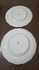2 Coalport Countryware Dinner Plates