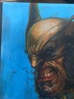 1 1 Wolverine Orignal Art 9x12 On Arches Signed Snoz