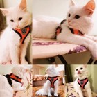 Cat Pet Harness With Leash Set Vest Escape Proof Adjustable Walking Kitten Chest