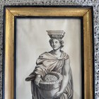 Turner Wall Accessories -  vignoble     la Loy  - Mid-century Modern Raphael