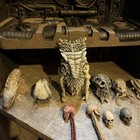Neca Predator 2 Trophy Wall Diorama   Trophy Skull Pack Read