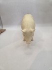 Breyer Jasper The Market Hog Animal Pig 1990 Vintage 
