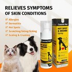 Cassiel Pet Hot Spot   Itch Relief Spray For Dogs Cats Topical Treatment Skin