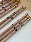 Vintage Apple Computer Wood Pencils Lot Of 10 Usa Rare Employee 1990s 2000s