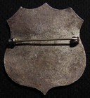 Vtg Us United States Star Mail  star Route Carrier  Badge - Usps Post Office