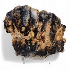 Plume Agate Slab Oregon 146 2 Grams 