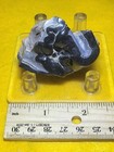 Mastodon Fossil Tooth Segment  Polk Co  Florida