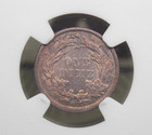 1882  p  Seated Liberty Silver Dime 10c Ngc Ms62  014 Unc Uncirculated Ecc c Inc