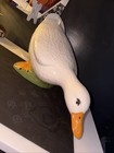  1986 rare  E r Large Goose porcelain 19    Wide vintage has Small Chip  Look 